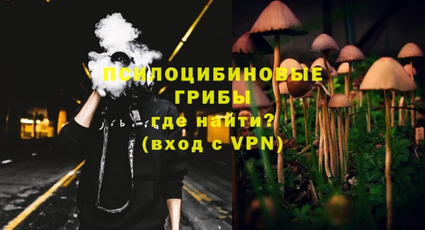 ешки Верея