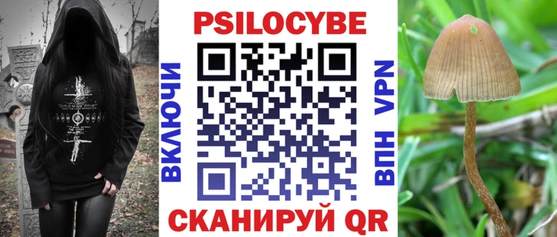 Галлюциногенные грибы Cubensis  Нурлат 
